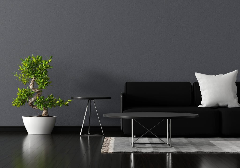 One of hamira coolest set up of living room